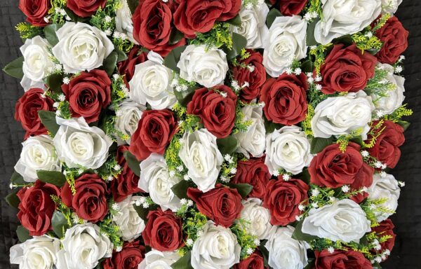 Fleurs et Plantes / Flowers & Plants